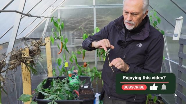The Best Way to Take Semi Ripe & Hardwood Cuttings