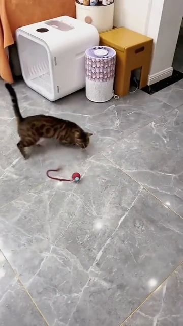 прикольно очень)