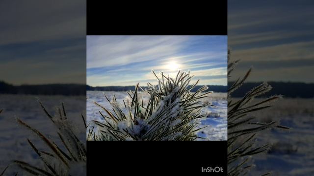 20-02-2025 Февральское серебро.... (продолжение)
