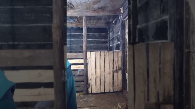 жизнь в деревне