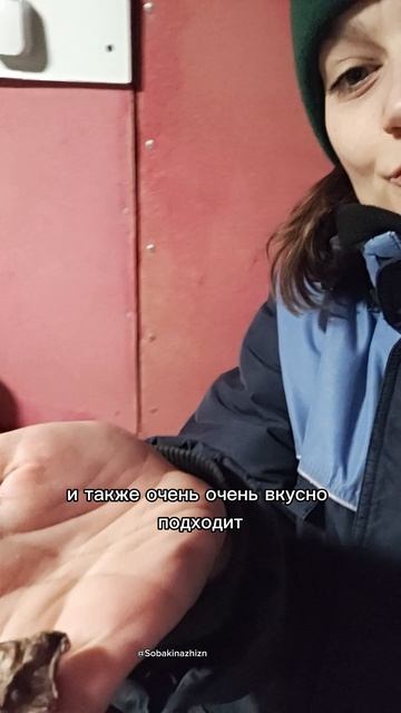 Проверено/Доказано