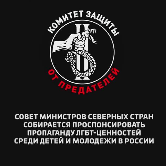 Совет министров Северных стран собирается проспонсировать пропаганду ЛГБТ-ценностей среди россиян
