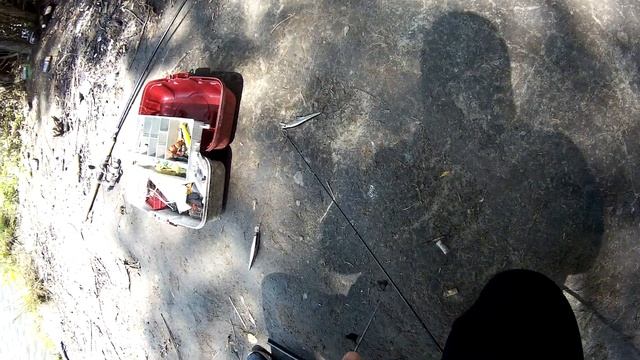 Щука на спининг, оперативный ремонт сломоного спининга!