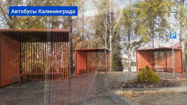 В Черняховске оборудовали остановку для туристических автобусов