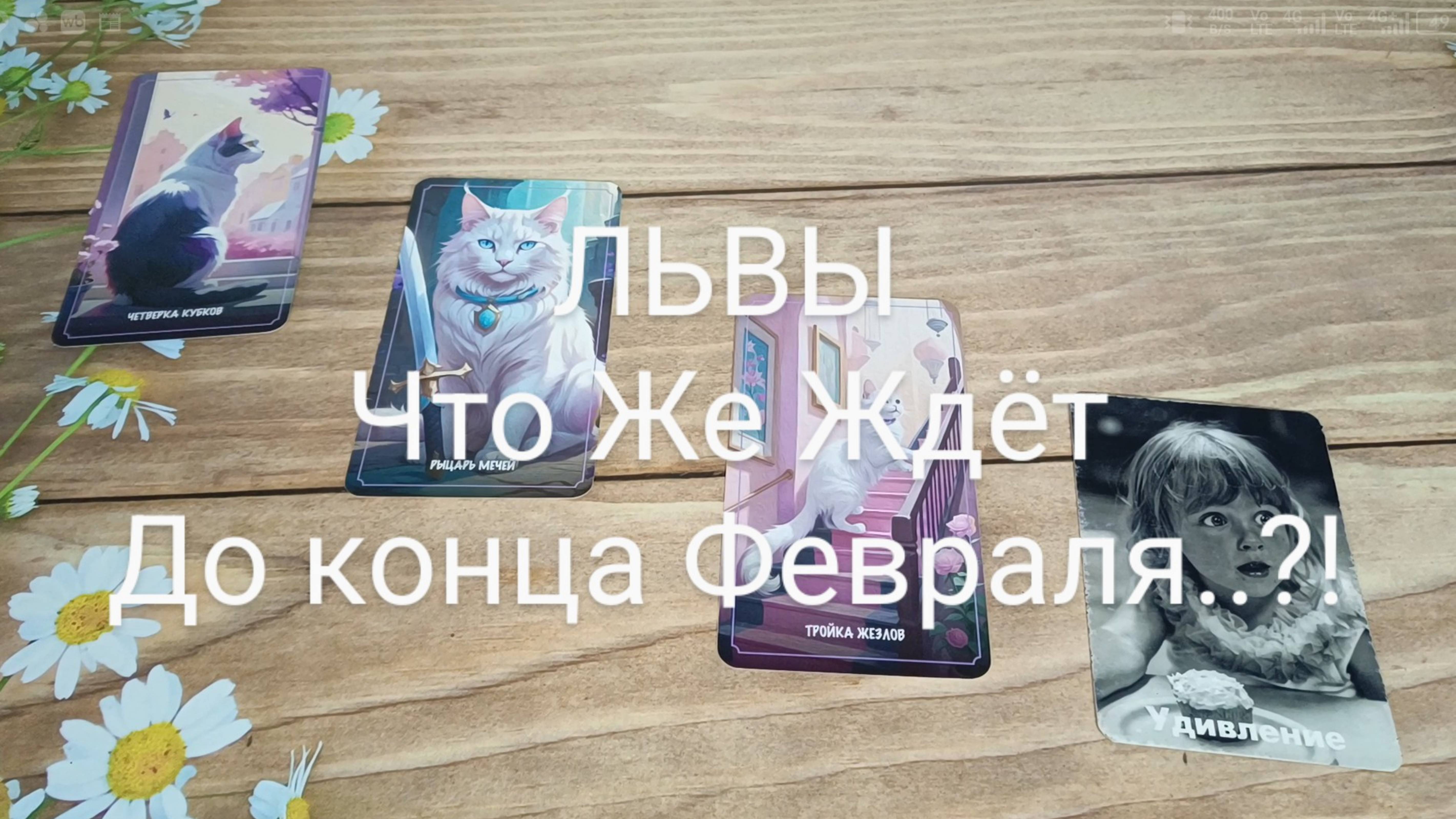 #ЛЬВЫ ЧТО ЖЕ ЖДЁТ ДО КОНЦА ФЕВРАЛЯ..?! 🥰😍💖#ГаданиеНаБудущее #ТароГадание