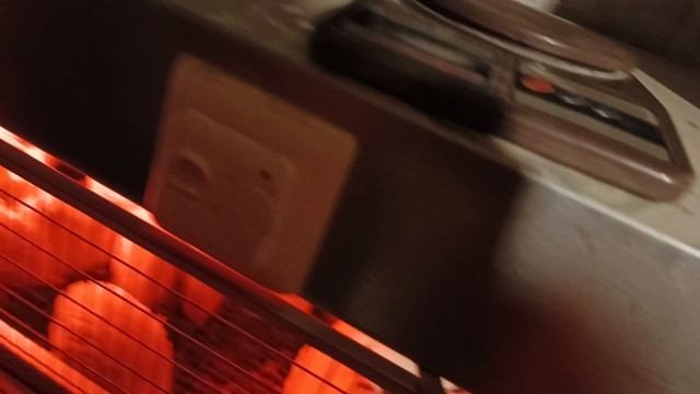 Завес перепёлок в 30 дней