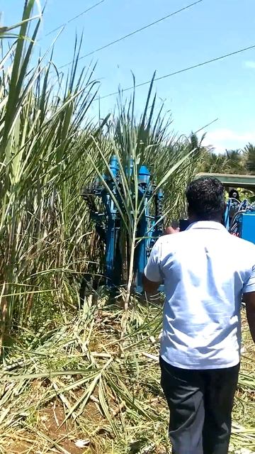 Sugarcane Harvester  By Amartek contact 9855250447