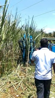 Sugarcane Harvester By Amartek contact 9855250447