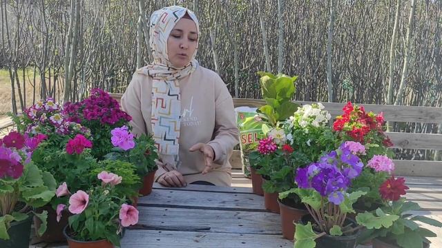 Eyvah bitkimde hormon bezi var😱 (kağıt pot-paper pot)