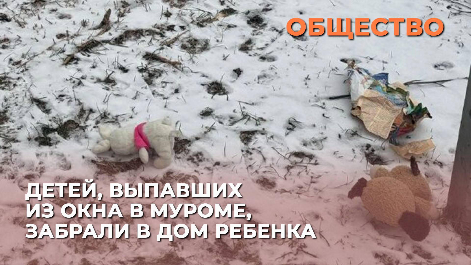 Детей, выпавших из окна в Муроме, на полгода забрали в спецучреждение