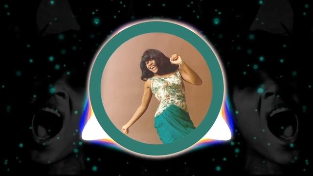 Tina Turner - Nutbush City Limits (Little Bit O`Bush mix)