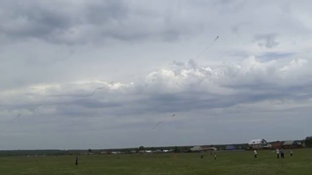 Воздушный змей   2016