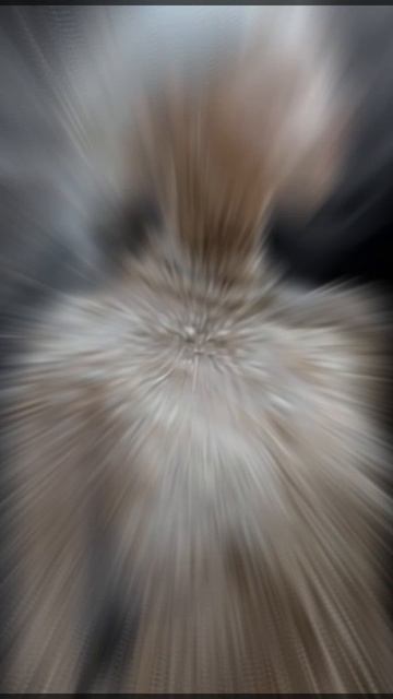 Девушка в жемчужном платье.