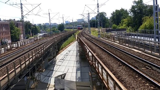 Иволга на Окружной