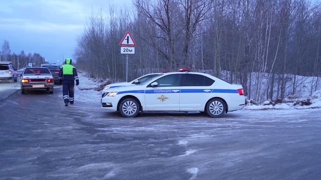 "По тормозам" (19.02.25)