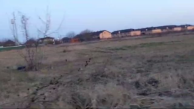 WhatsApp Video 2025-02-20 at 08.14.28