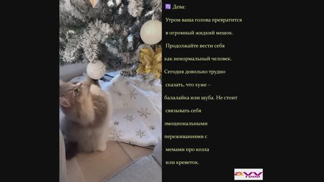 20250221 гороскоп абсурда