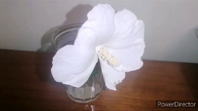 1000005725.mp4