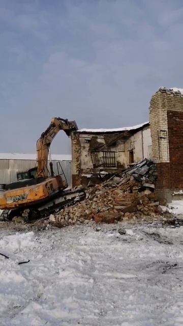 Паламушки