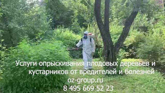 Услуги опрыскивания плодовых деревьев и кустарников от вредителей и вредителей. Выезд Агрономов.