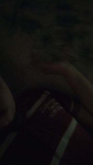 VID_20250218_215258.mp4