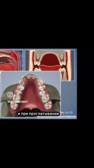 Почему это важно с детства..
