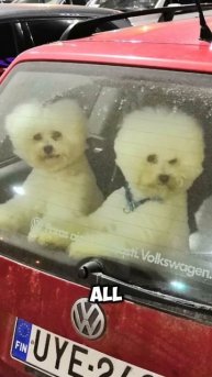 Тем временем где-то в Питере #apt #lipsync #capcut