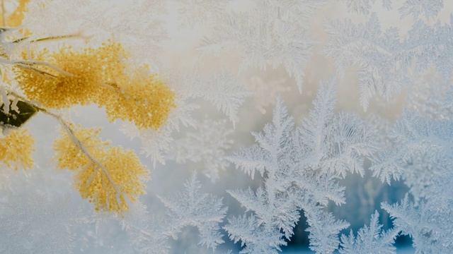 Просто любить тебя| Песни для души| Автор Елена Шкляева| Сквозь время и расстоянье