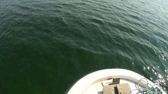 Crossing the Etang de Thau, July 2013