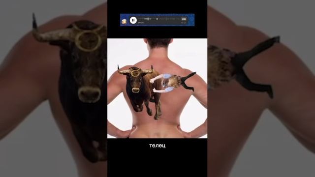 Парень эпично описал эскиз татуировки, которую он хочет