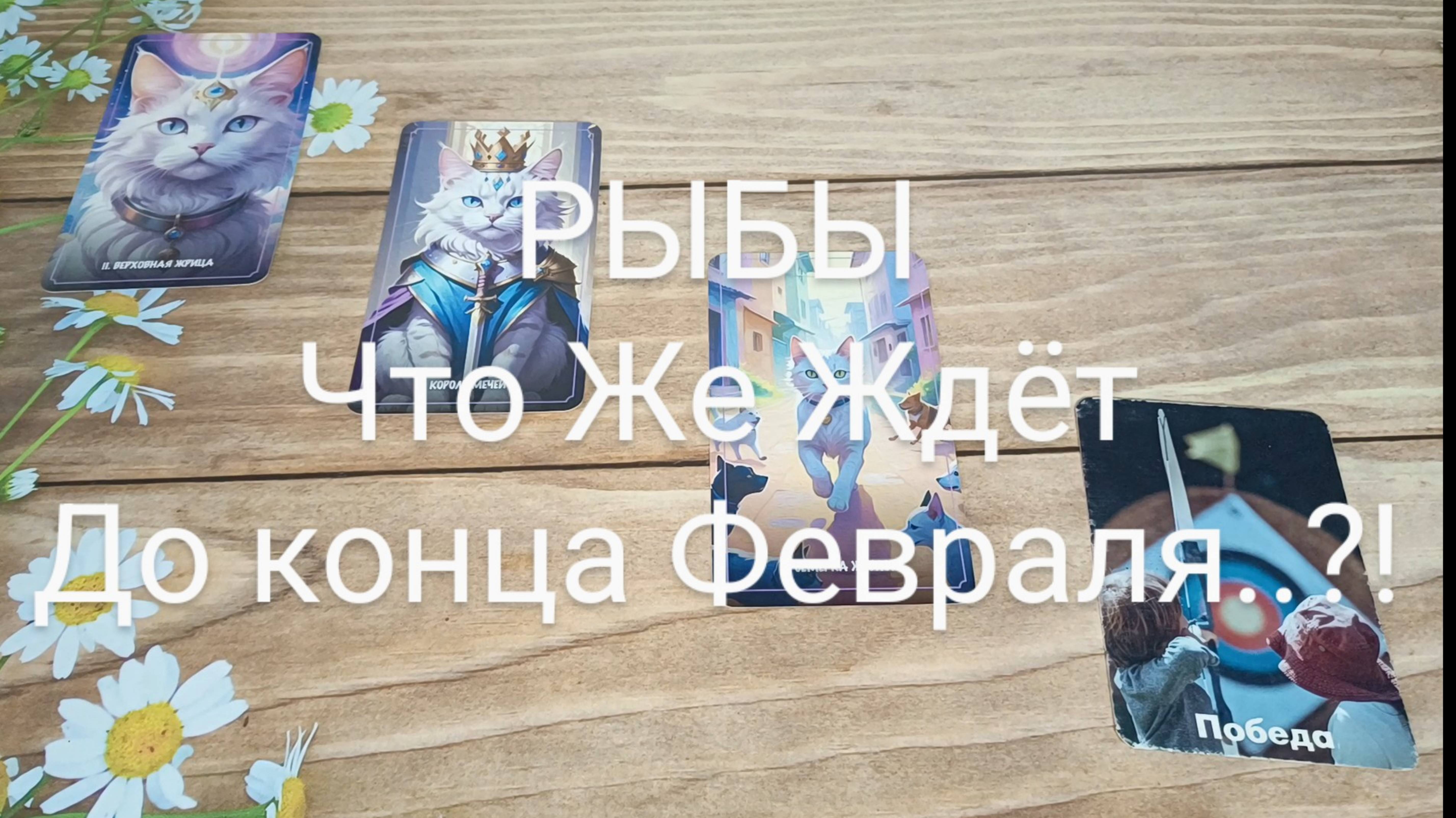 #РЫБЫ ЧТО ЖЕ ЖДЁТ ДО КОНЦА ФЕВРАЛЯ..?! ❤️🥰💕#ГаданиеНаБудущее #ТароГадание