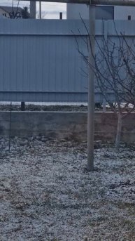 Натухаевская. Февраль 2025