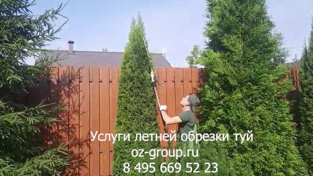 Услуги летней обрезки туй на даче. Выезд Агрономов по Москве и области. Звоните и заказывайте!