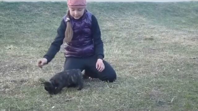 Даша тренирует Марка