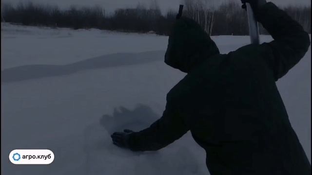 Отбор проб пшеницы с рукавов в Тамбовской области