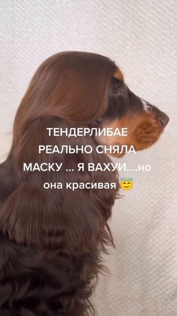 #tenderlybae #ломай