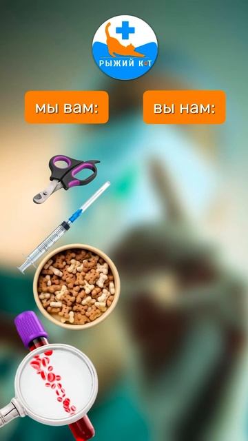 Отзывы