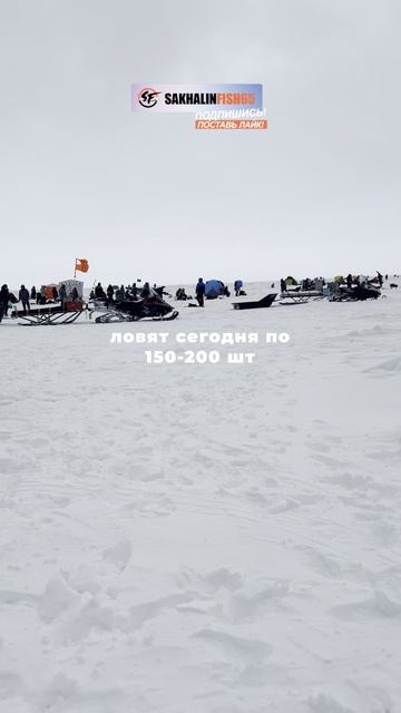 🎣 Очередной день на зимней рыбалке на Сахалине.