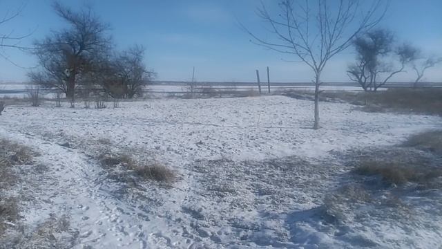 VID_20250220_095744