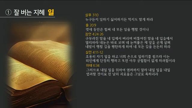 240526 주일4부 청년예배