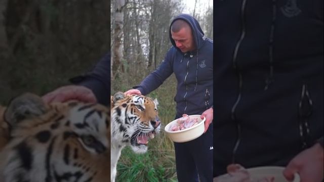 как создать свой канал на рутубе (на телефоне)