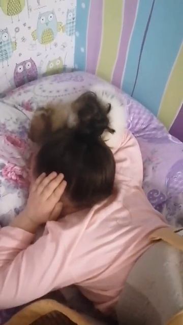 Нападение дикого животного