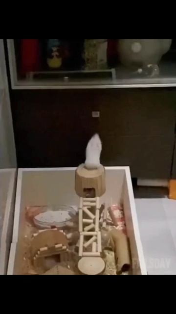 Никогда не сдавайся!