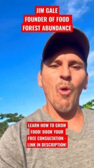 MONEY DOES GROW ON TREES…