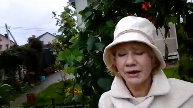 Моя осень / My autumn