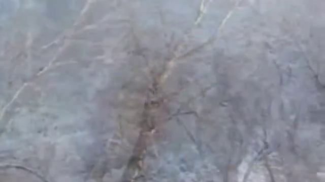 Люся Ли "Позёмка"