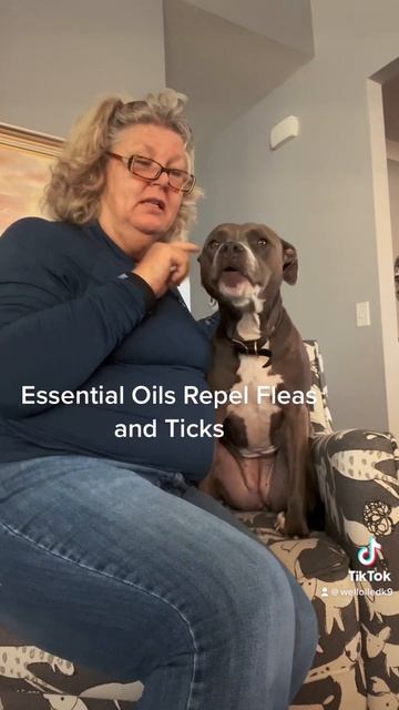 Essential oils repel fleas and ticks safely!  #dognutrition #essentialoilsfordogs #essentialoils