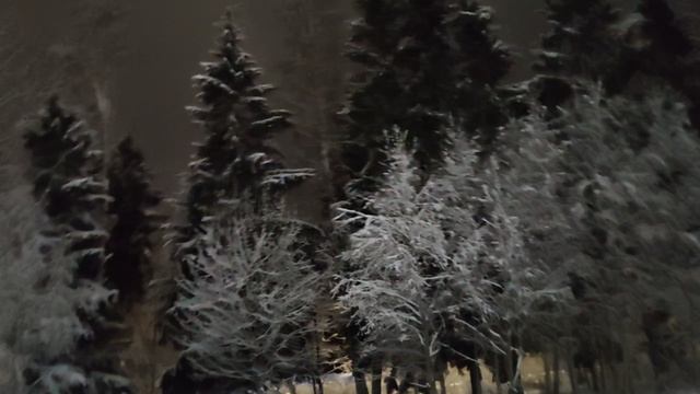Подарки и покупки. Попала в РНИИТО им.Вредена