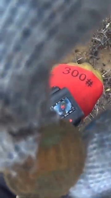Монета. СКОРО полное видео находок, не пропустите!