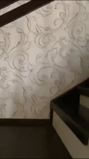 WhatsApp Video 2025-02-20 at 11.40.29